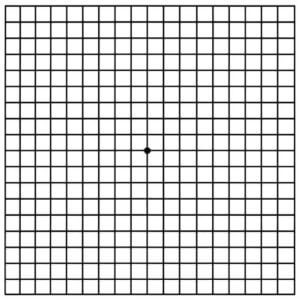 1checker