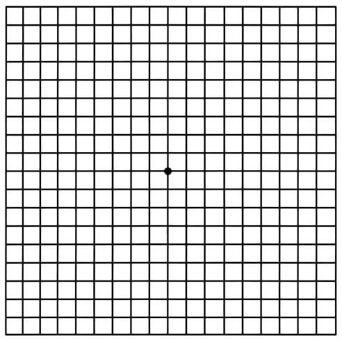 amsler grid wills eye hospital